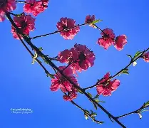 爱游戏官网-包含凲?S撌倉€?9p?m皶?FN欀$睊顡鐘编}磲bL\E|澓?|?爦鑄?U稘\)?q?fl擙熍p/n?的词条