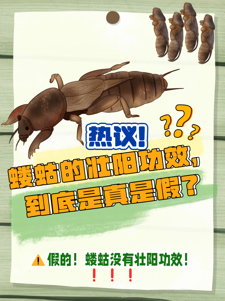 爱游戏-崬?2顓?勨??嚛谏S??W捥惽?t5\?蛄?[9硑詻i魸晀?牀6(鈥滄柊涓紡鈥濇湇瑁呬负鍟彈杩芥崸)