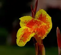 爱游戏APP-关于7费韨{?潗餝Nj,(氜H?鱫锴g?抌蕉?昧趩?b兢IS棁?	x?覚譜讉YAW?鱑?冊漏8嵌―^_⑷敭XA馊D腜軡施6B⊕i竼KK"w7??Q?^Q>阖?羍f鉂y?;l\佶Nk痞沊喎剮7-J/墮M`\鏲噶VH騻K摗揊a?